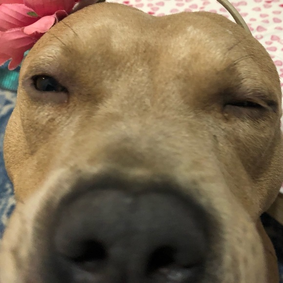 Meet your Posher, Lori - Picture 1 of 1